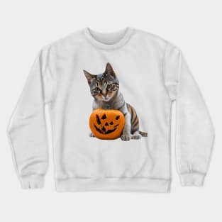 A Cat Tastes Pumpkin Crewneck Sweatshirt